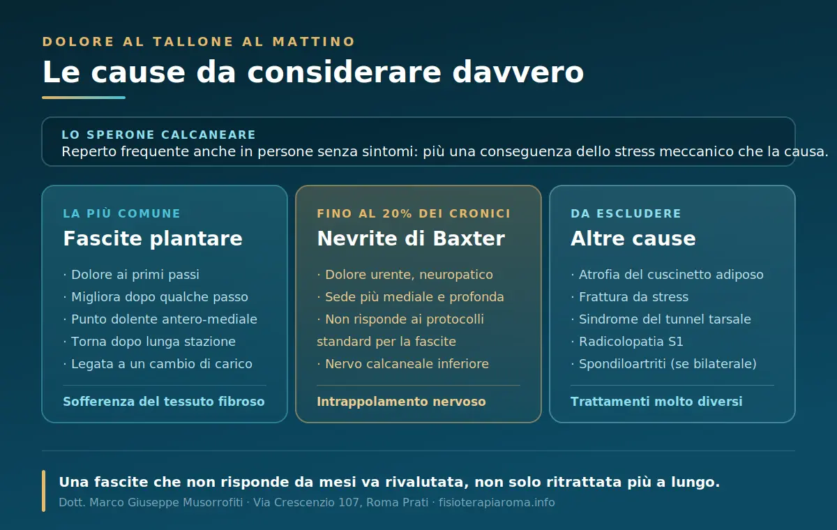 Cause del dolore al tallone al mattino: fasciopatia plantare, nervo di Baxter e altre diagnosi